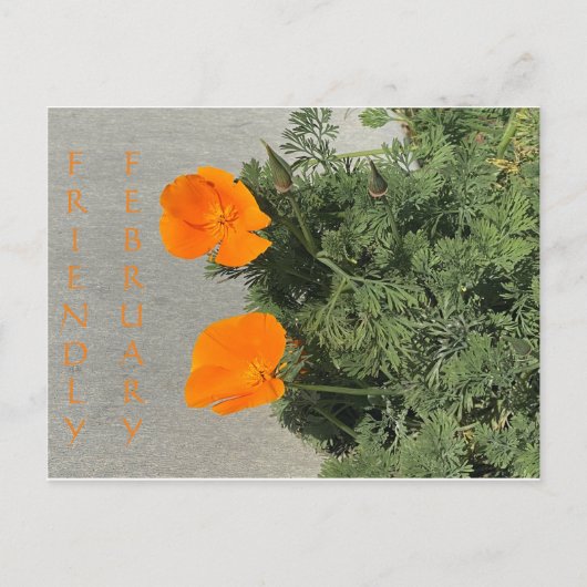 Freundlicher Februar! Postkarte (Vorderseite)