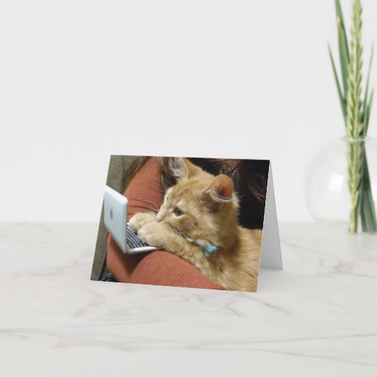 FREUNDLICHER GEBURTSTAG AUS EINER **BUSY KITTY** KARTE (Vorderseite)