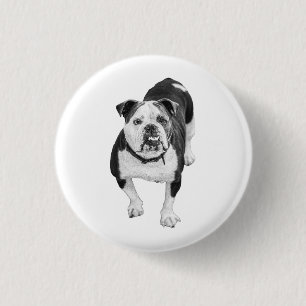 Freundlicher Geist, Bulldogge Foto Pin Button
