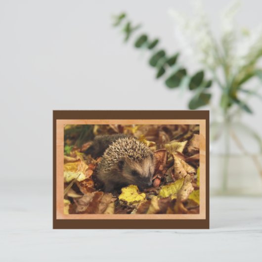 Freundlicher Igel Postkarte (Stehend Vorderseite)