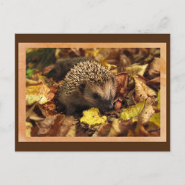 Freundlicher Igel Postkarte