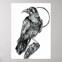 Freundlicher Krähenposter