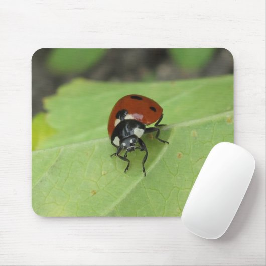 Freundlicher Marienkäfer Mousepad (Mit Mouse)