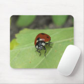 Freundlicher Marienkäfer Mousepad (Mit Mouse)