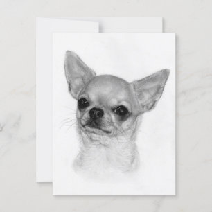 Freundliches Aussehen - Handgemalte Hundeillustrie Postkarte