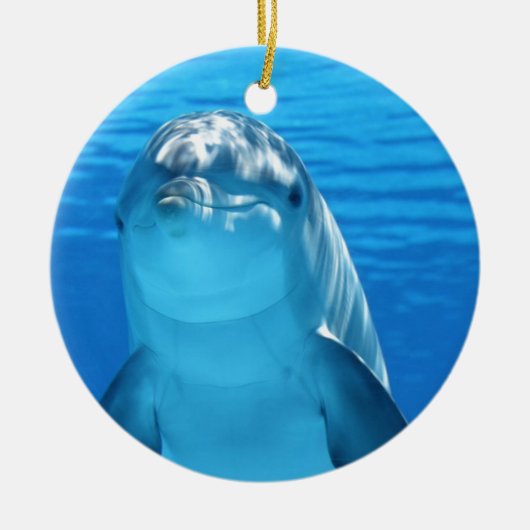 Freundliches Delphin-Foto Keramik Ornament (Vorne)