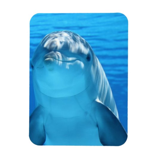 Freundliches Dolphin Foto Magnet (Vertikal)