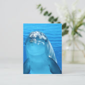 Freundliches Dolphin Foto Postkarte (Stehend Vorderseite)