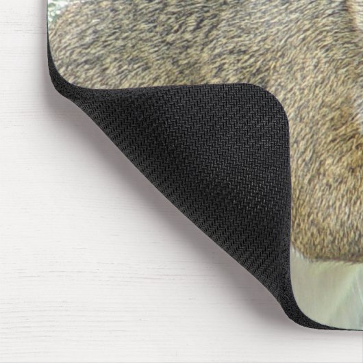 Freundliches kleines Eichhörnchen Mousepad (Ecke)