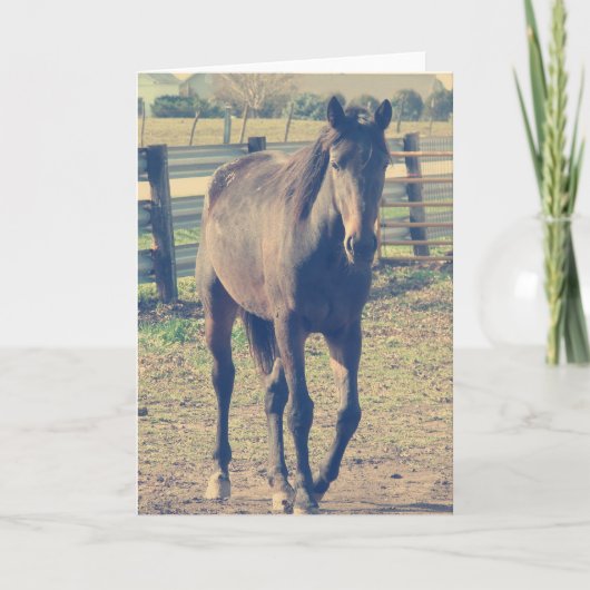 Freundliches Pferd Karte (Vorderseite)