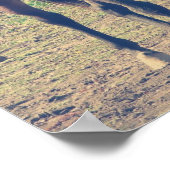 Freundliches Pferd, schüchternes Pferd Poster (Ecke)