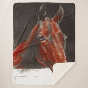 freundliches Pferd Sherpadecke