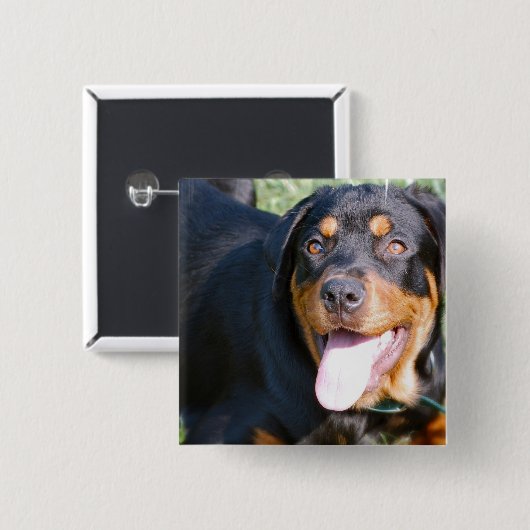 Freundliches Rottweiler Button (Vorne & Hinten)