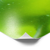 Freundliches Siegel Fotodruck (Ecke)