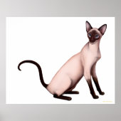 Freundliches Young Siamese Cat Poster (Vorne)