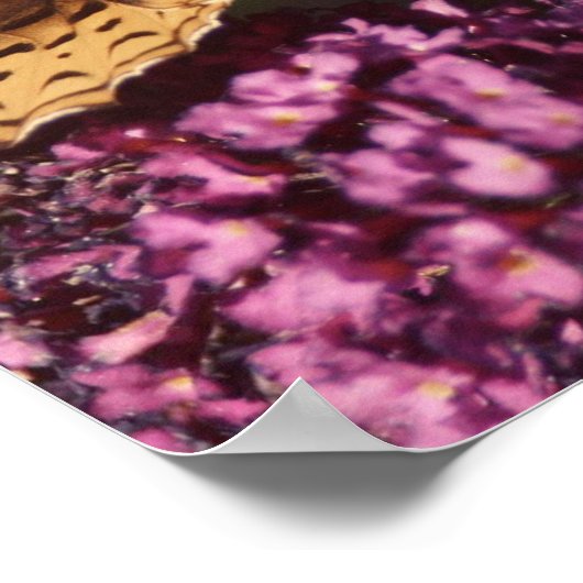 Freundlichkeit ist die Sprache Poster (Ecke)