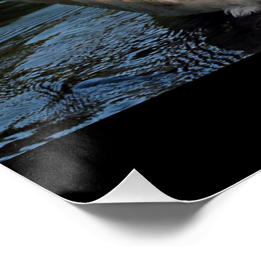 Freundlichkeit Poster (Ecke)