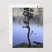 Freundlichkeit spielt eine Rolle Postkarte (Vorne/Hinten)