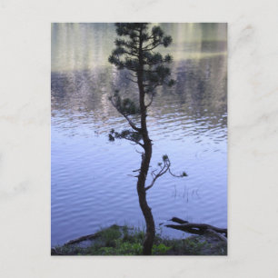 Freundlichkeit spielt eine Rolle Postkarte