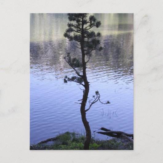 Freundlichkeit spielt eine Rolle Postkarte (Vorderseite)