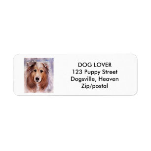 FREUNDLY GOLDEN COLLIE