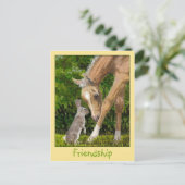 Freundschaft Bunny & Foal Postkarte (Stehend Vorderseite)