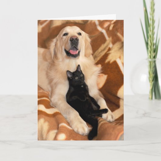 Freundschaft Freunde Hund und Katze Karte (Vorderseite)