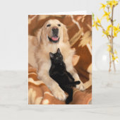 Freundschaft Freunde Hund und Katze Karte (Gelbe Blume)