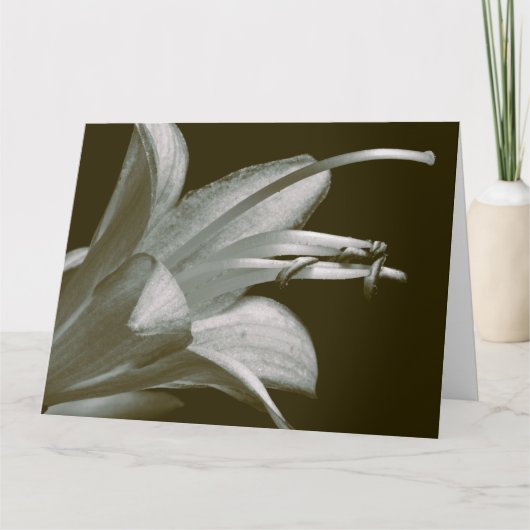 Freundschaft Hosta Blume, Elegante Vintag Sepia Karte (Vorderseite)
