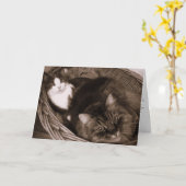 Freundschaft Karte (Gelbe Blume)