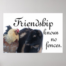 FREUNDSCHAFT KENNT KEINE FENZEN - ZIEGE - ROOSTER