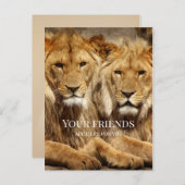 Freundschaft Lions wird bald gut Postkarte (Vorne/Hinten)