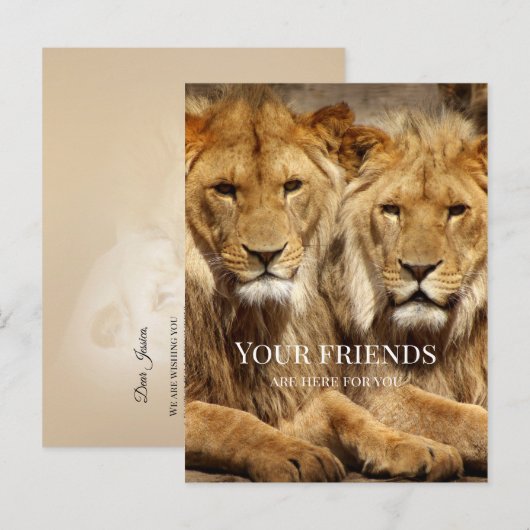Freundschaft Lions wird bald gut Postkarte (Vorne/Hinten)