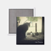 Freundschaft Magnet (Vorderseite/Rückseite)