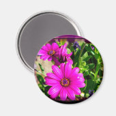 Freundschaft Magnet (Vorderseite/Rückseite)