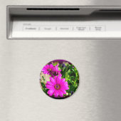 Freundschaft Magnet (In Situ (Geschirrspüler))