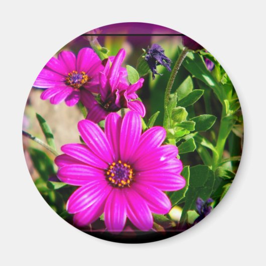 Freundschaft Magnet (Vorne)