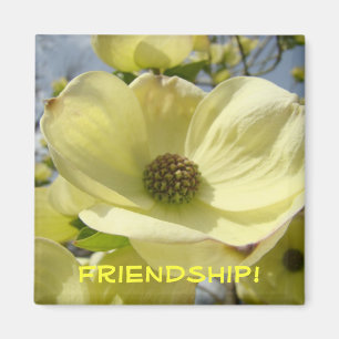 Freundschaft! Magnet-Geschenke Gelbe Dogwood-Blume Magnet