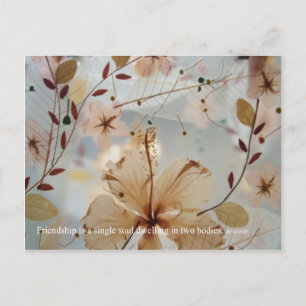 Freundschaft Petal Postcard Postkarte