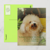 Freundschaft Postkarte (Vorne/Hinten)