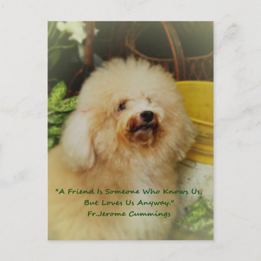 Freundschaft Postkarte (Vorderseite)