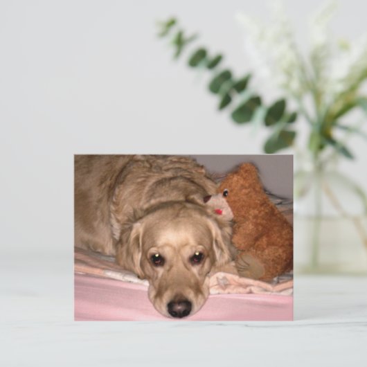 Freundschaft Postkarte (Stehend Vorderseite)