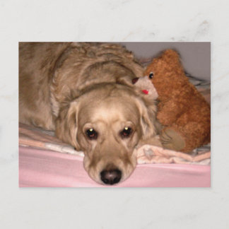 Freundschaft Postkarte