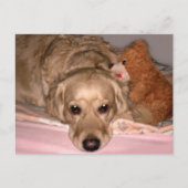 Freundschaft Postkarte (Vorderseite)