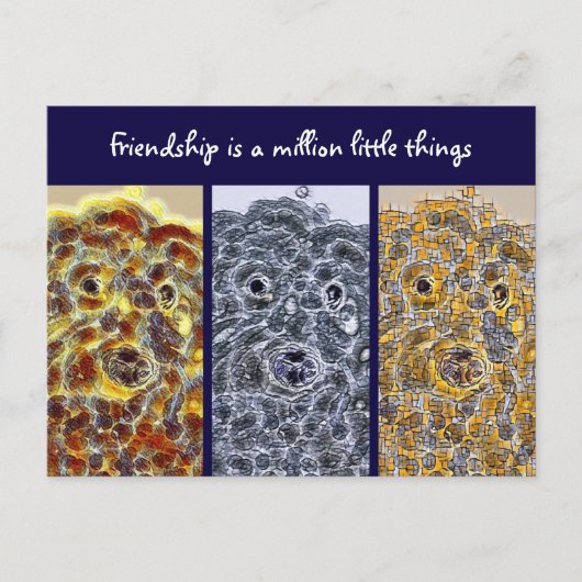Freundschaft Postkarte Hunde Moderne Abstrakte Kun (Vorderseite)