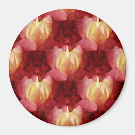 Freundschaft Rose... Magnet (Vorne)