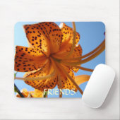 FREUNDSCHAFTS-GESCHENKE Mousepad orange (Mit Mouse)