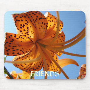 FREUNDSCHAFTS-GESCHENKE Mousepad orange