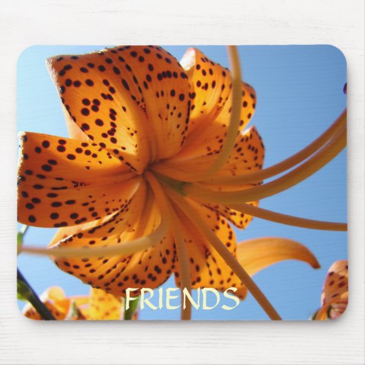 FREUNDSCHAFTS-GESCHENKE Mousepad orange (Vorne)