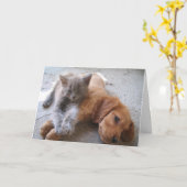 Freundschafts-Karte Karte (Gelbe Blume)